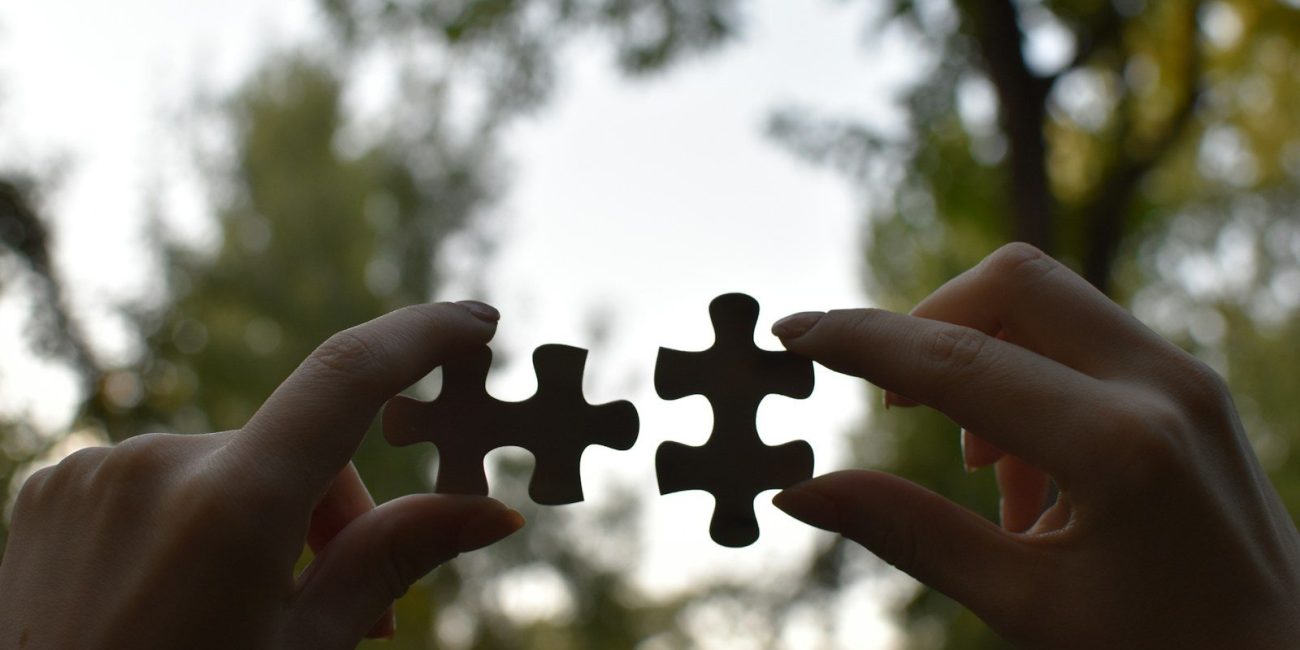 a person holding two pieces of a puzzle